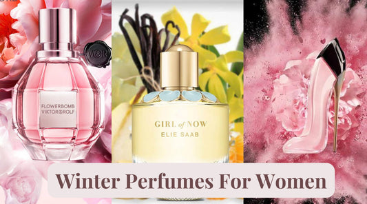 Winter Perfumes Collection